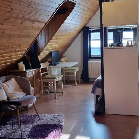 Altes Romantisches Fachwerkhaus In Rheinnaehe Auch Fuer Workation Geeignet Vakantiehuis *